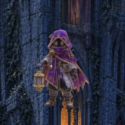 The Wanderer in a purple hood, carrying a lantern